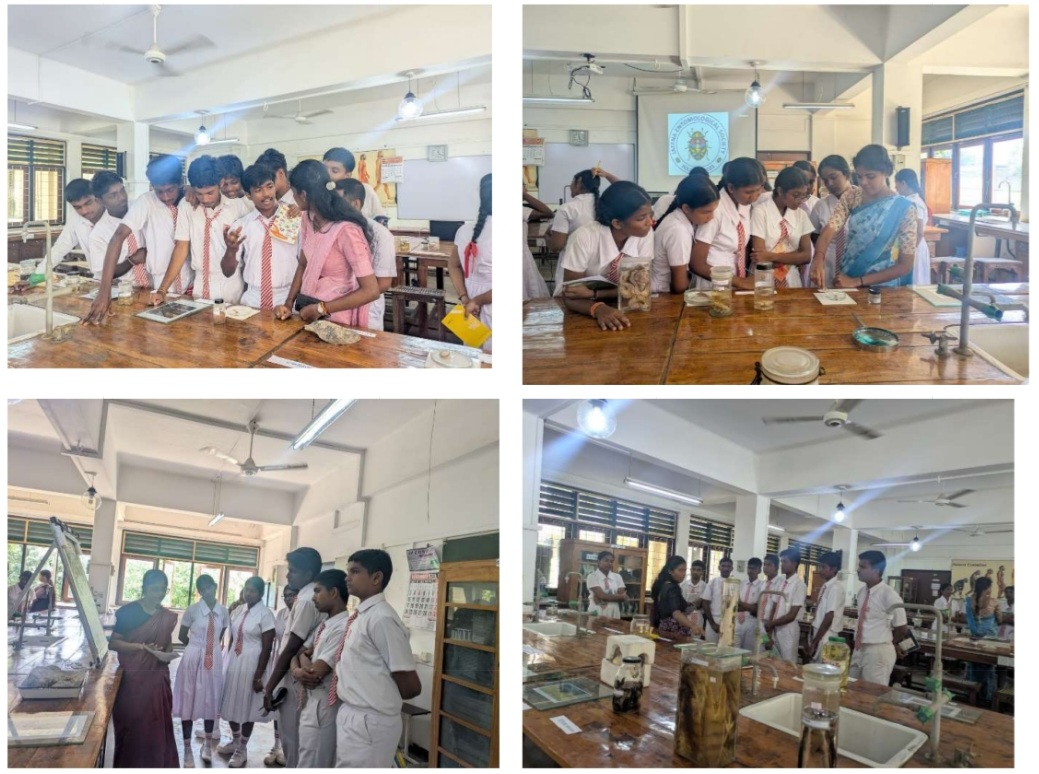 School seminar series 6